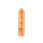 Abh Repair Shampoo